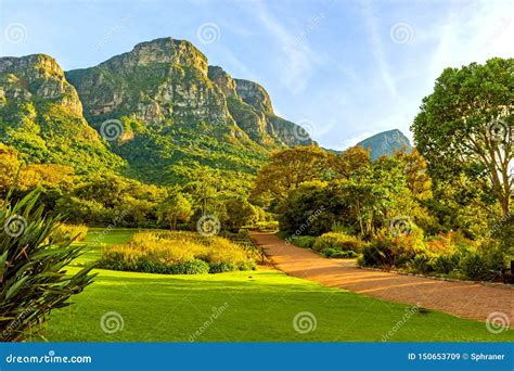 botanischer garten kirstenbosch fotos|Kirstenbosch Botanischer Garten 